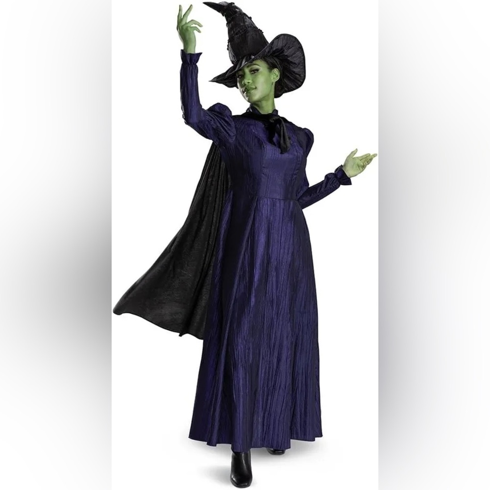 Universal Pictures Wicked Elphaba Costume